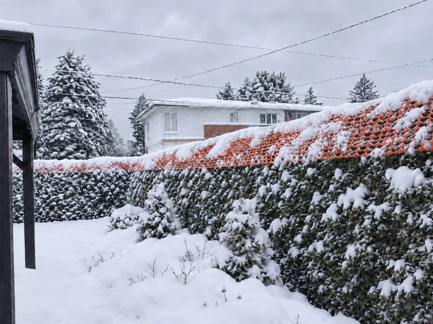 Clôture à neige sur une haie