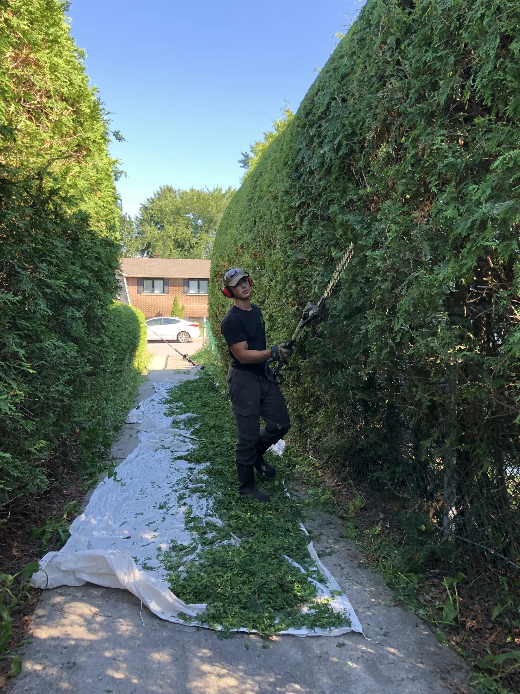 L’équipe au travail