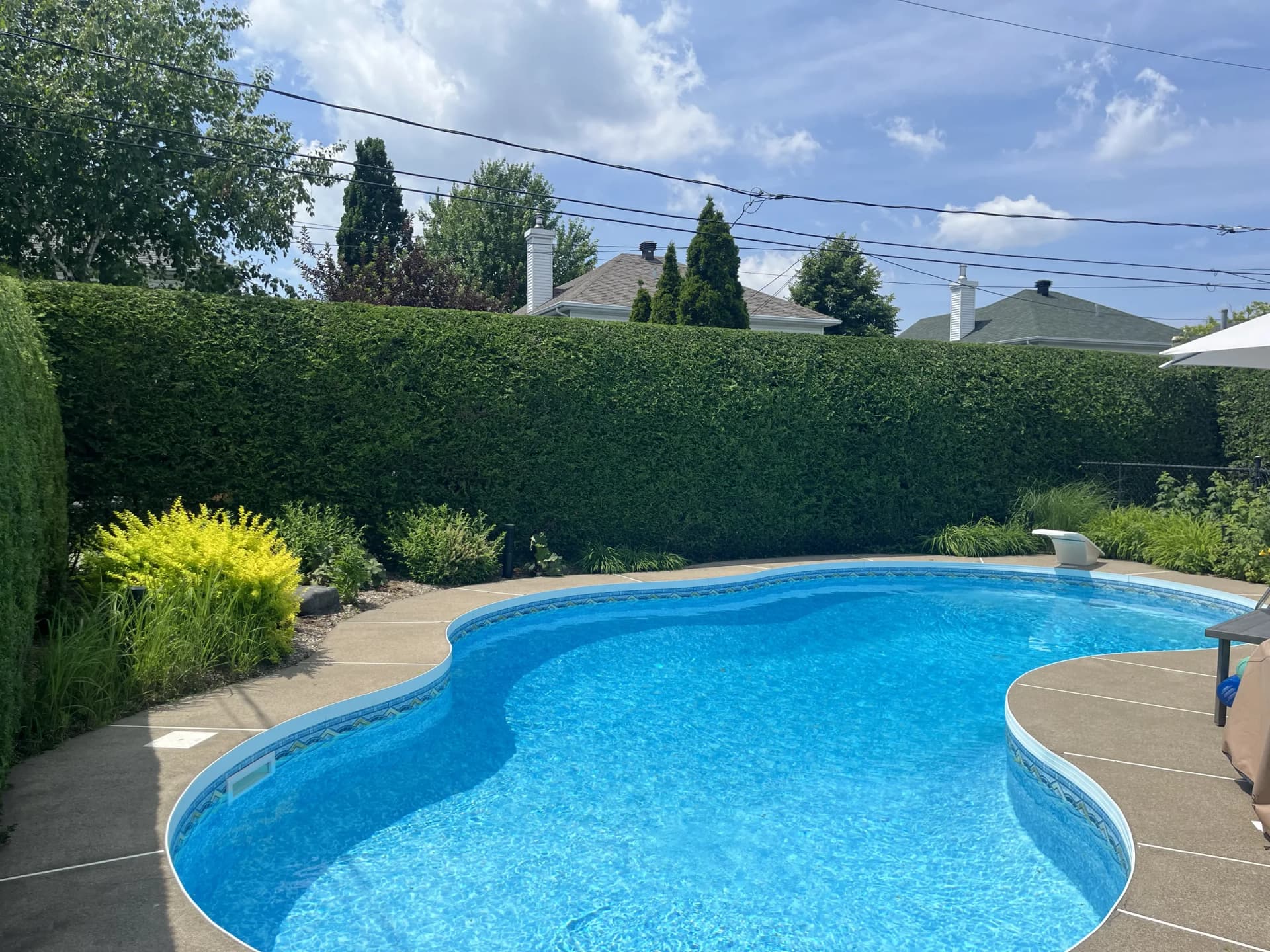 Taille de haie · Boucherville