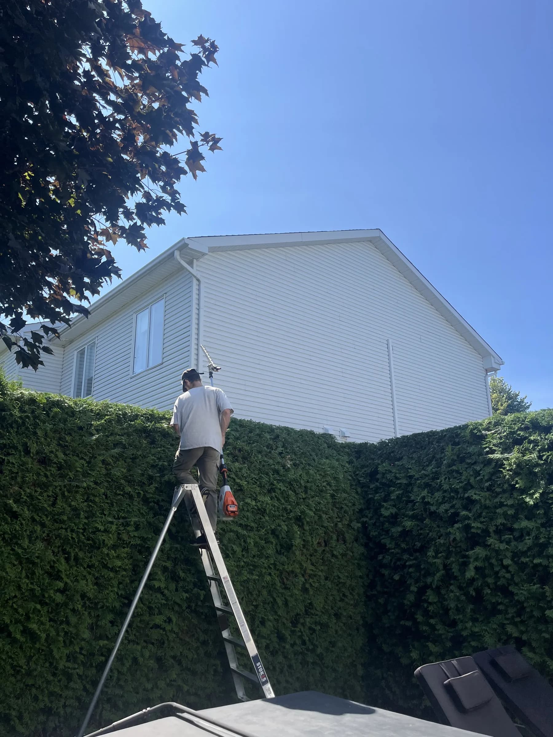 L’équipe au travail